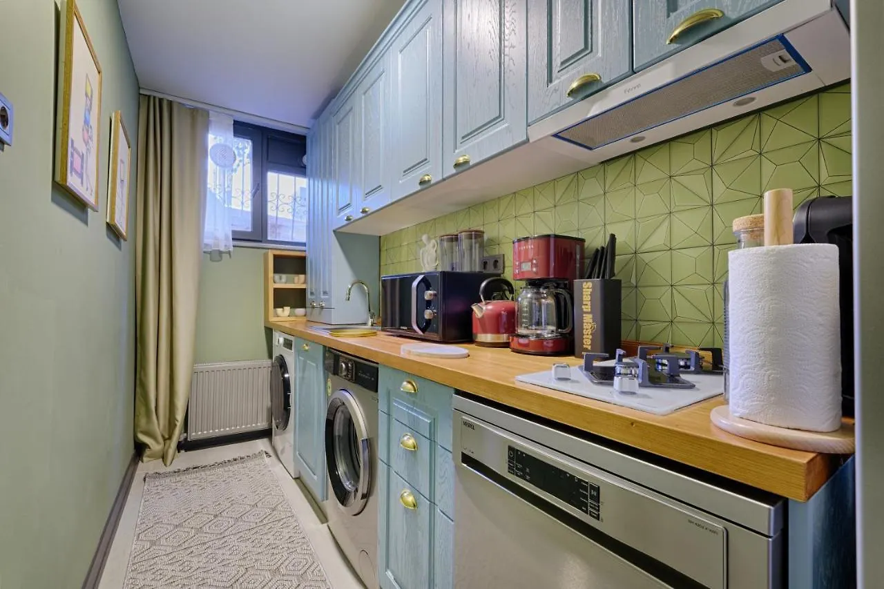 Artful Apartment W/Projector In Beyoglu, Cihangir Istanbul